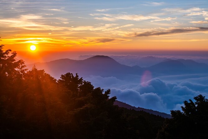 8-Day Around Taiwan Private Tour - Alishan House, an early sunrise, and the mountain rhythm