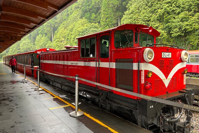 Alishan Day Tour from Chiayi (Incl. Park Entrance) - Walking pace, photo stops, and how the guide helps