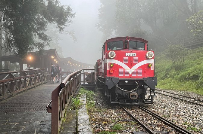 Alishan Day Tour from Chiayi (Incl. Park Entrance) - The Alishan train option and how to think about it
