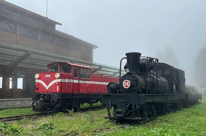 Alishan Day Tour from Chiayi (Incl. Park Entrance) - Who should book this Alishan day tour