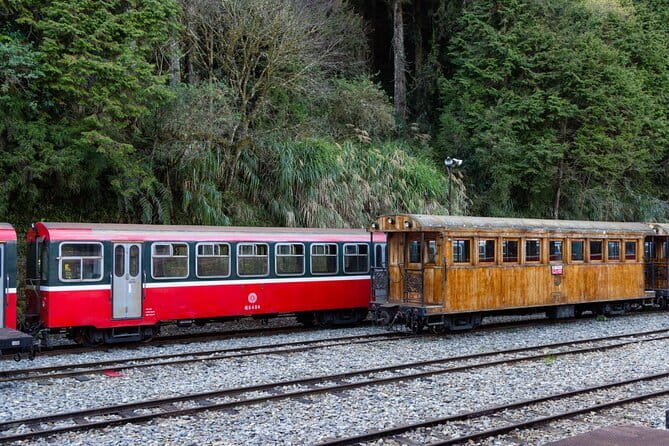 Alishan Join In Day Tour from Taichung (Incl. Park Entrance) - Alishan From Taichung, One Day: What the Tour Really Delivers