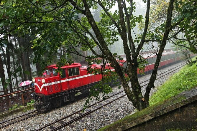 Alishan One Day Tour from Taichung - Pickup, Drive Time, and Why the Morning Matters