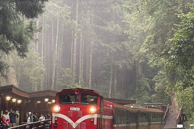 Alishan One Day Tour from Taichung - Longyin Temple: A Quiet Start With Real Atmosphere