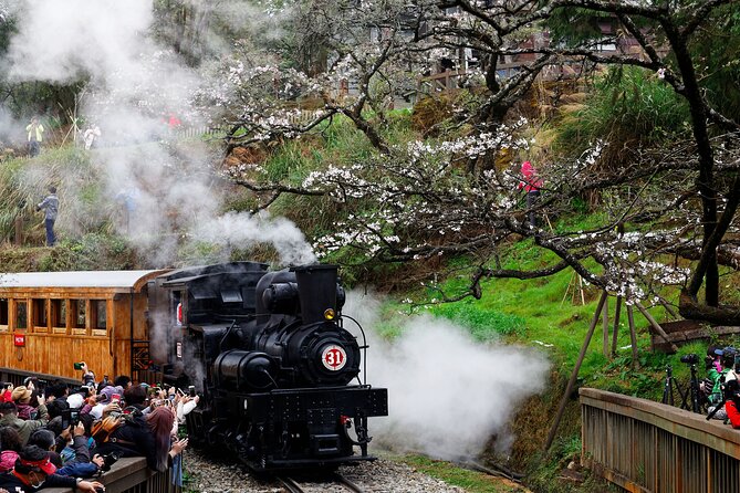Alishan Taiwan 2 Day Private Tour from Taipei - Hinoki Village: Japanese-era forestry buildings and fragrant cypress air