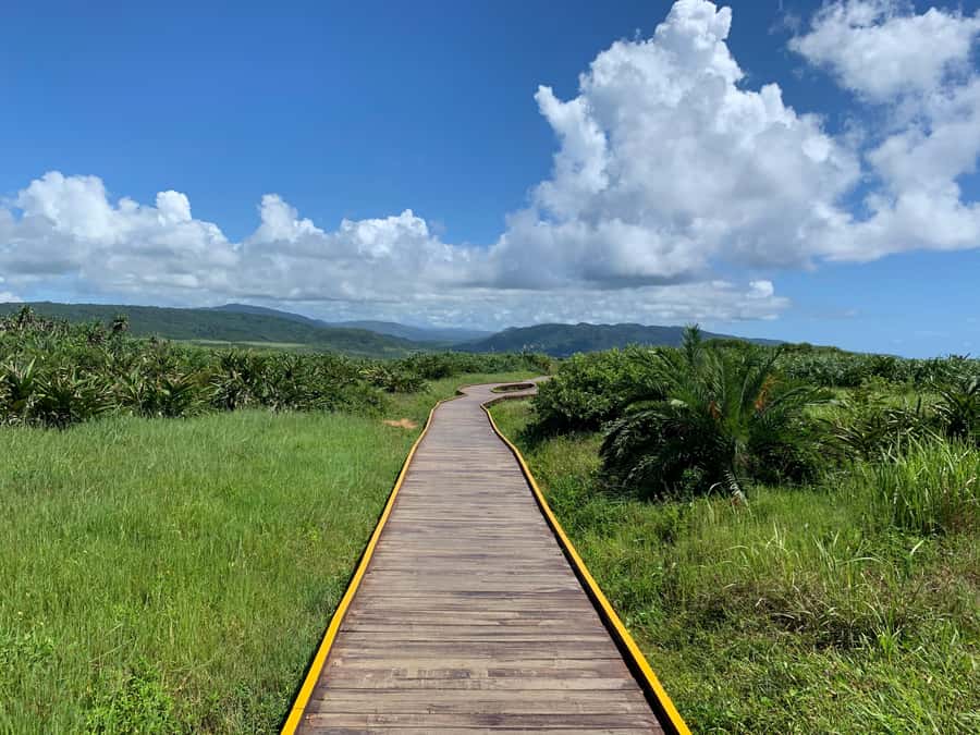 From Kaohsiung: Kenting & Ocean Coast Private Day Tour - Key takeaways before you go