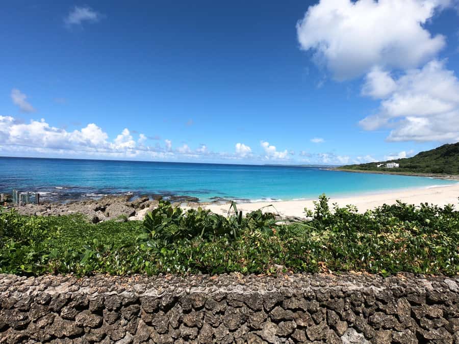 From Kaohsiung: Kenting & Ocean Coast Private Day Tour - From Kaohsiung to Kenting: a private day that moves at your pace