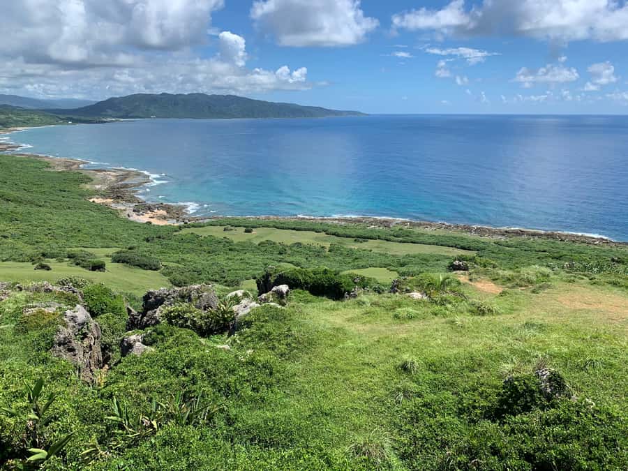 From Kaohsiung: Kenting & Ocean Coast Private Day Tour - Getting picked up and meeting your YOLO Taiwan driver-guide
