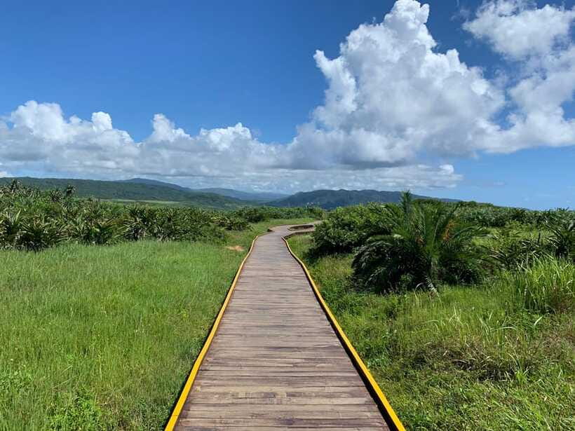 From Kaohsiung: Kenting & Ocean Coast Private Day Tour - Eluanbi Lighthouse: the ocean views you’ll remember
