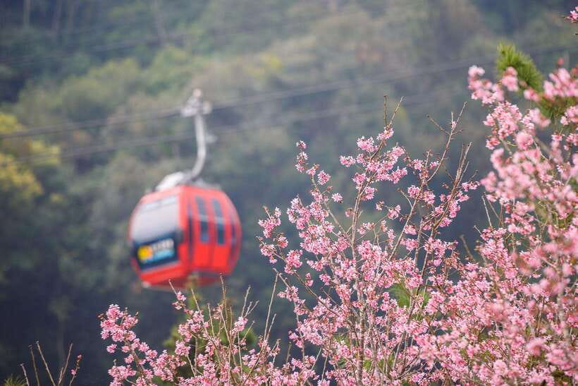 From Taipei: 1 Day Sun Moon Lake Private Tour - Price and value: what $285 per person actually buys you