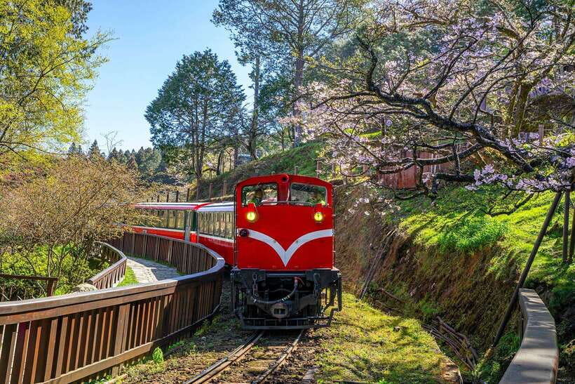 From Taipei City: 3-Day Sun Moon Lake & Alishan Private Tour - Price and logistics: what you are actually paying for