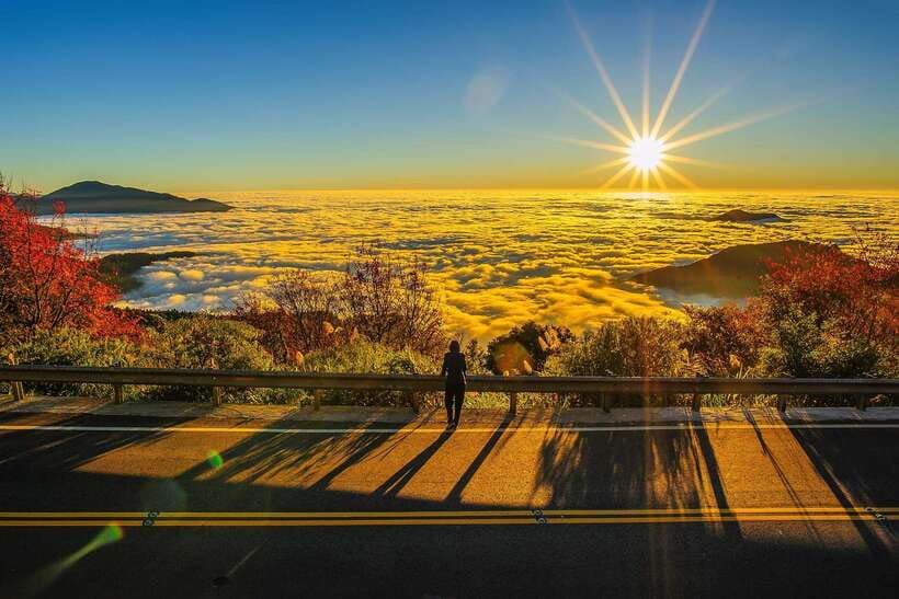 From Taipei City: 3-Day Sun Moon Lake & Alishan Private Tour - The boat ride that changes everything