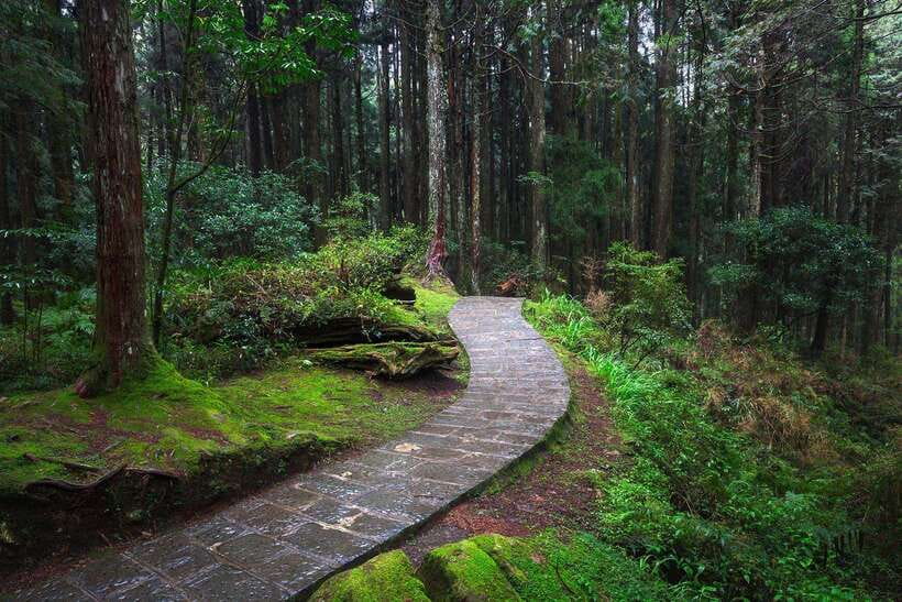 From Taipei City: 3-Day Sun Moon Lake & Alishan Private Tour - Sun Moon Lake stops: Shuishe Pier and Wenwu Temple