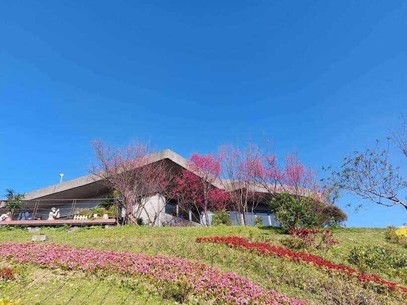 From Taipei: Pinglin Tea Culture and Maokong Guided Day Tour - Pace, group size, and comfort on a full 9-hour day