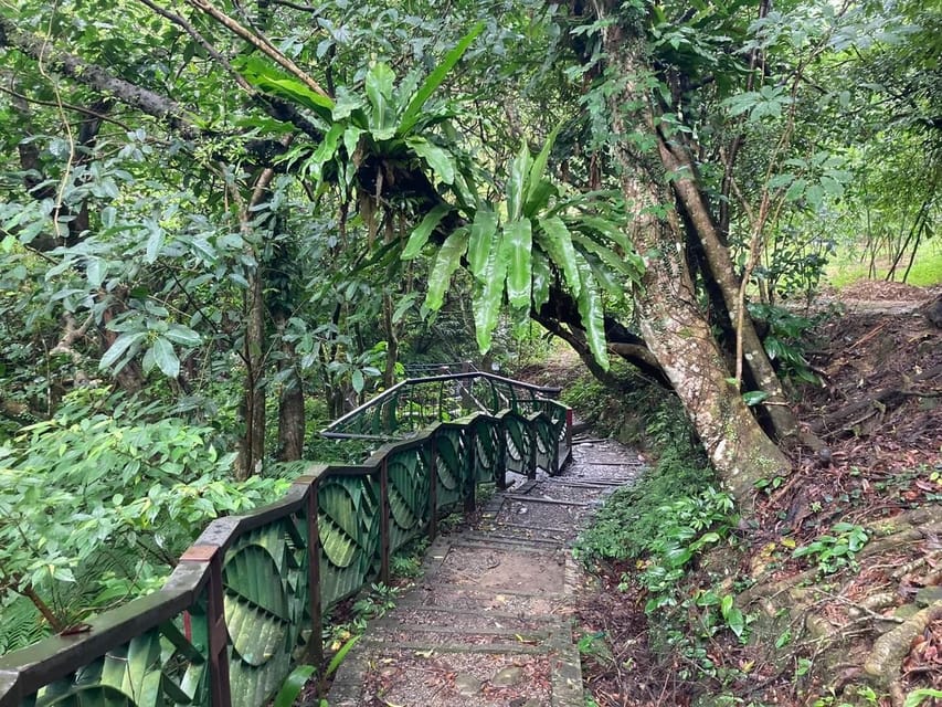 From Taipei: Pinglin Tea Culture and Maokong Guided Day Tour - Taipei Tea Promotion Center: Tieguanyin and Baozhong with context