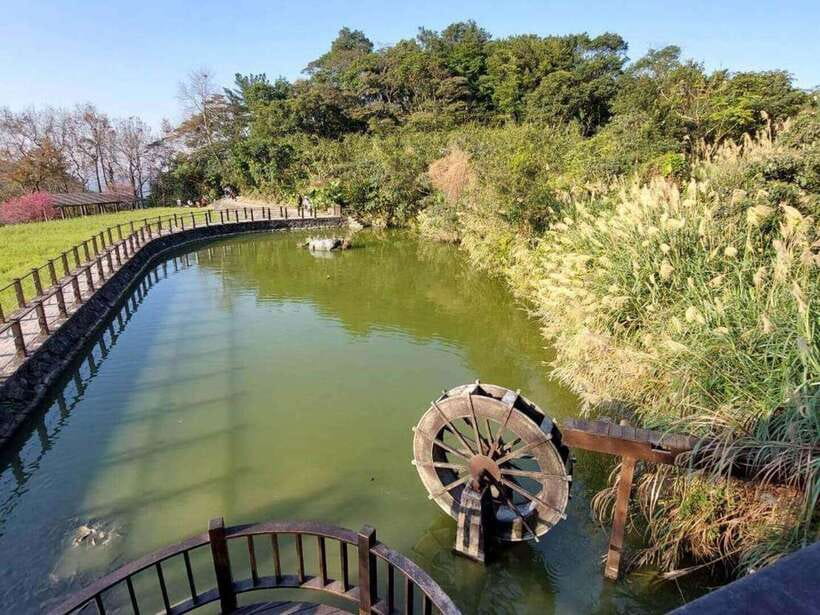 From Taipei: Pinglin Tea Culture and Maokong Guided Day Tour - Thousand Island Lake in Shiding and the Bagua Tea Plantation view