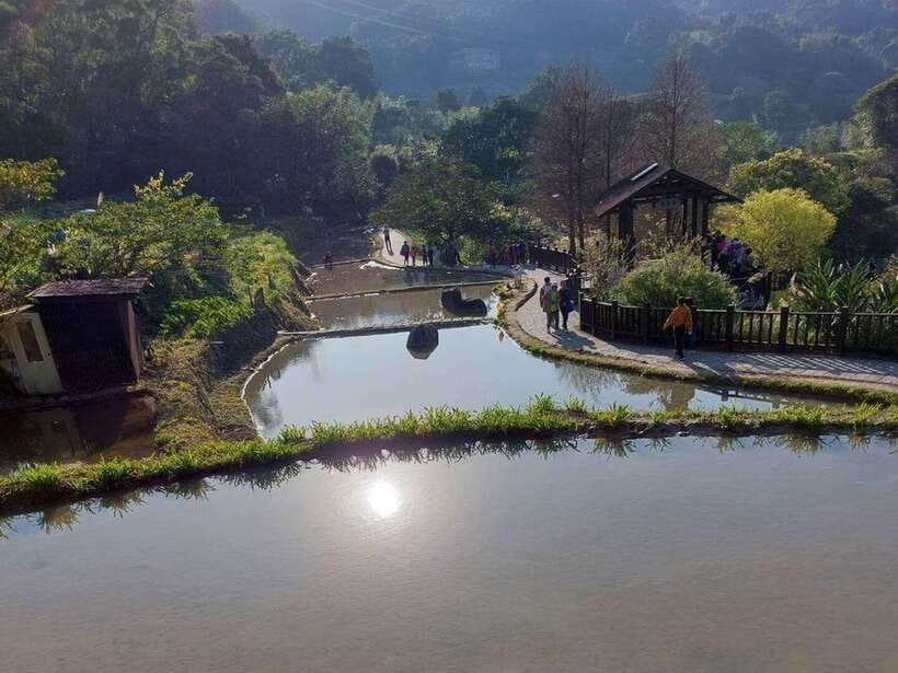 From Taipei: Pinglin Tea Culture and Maokong Guided Day Tour - Pinglin Tea Museum: Hokkien Siheyuan architecture and traditional tools