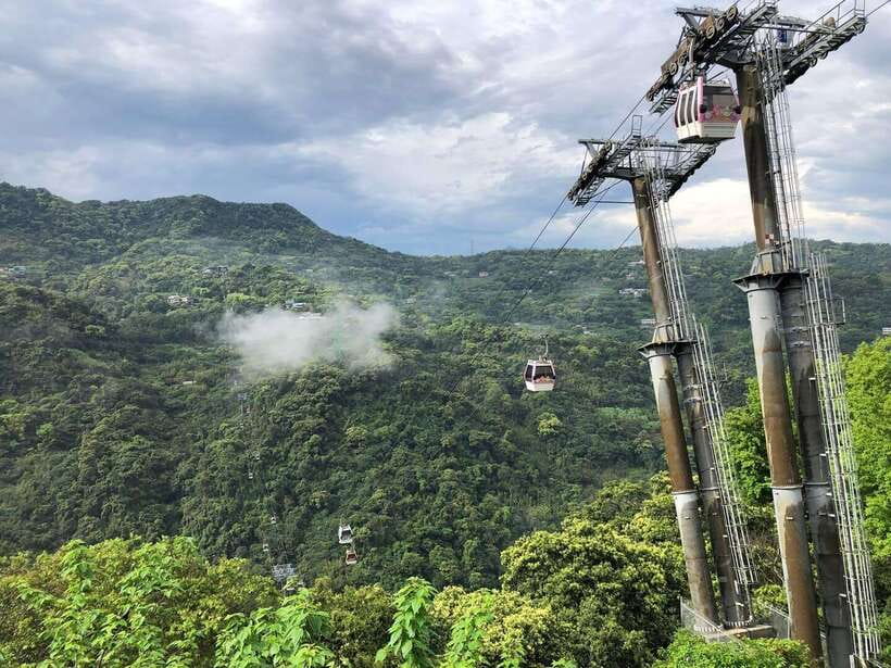 From Taipei: Pinglin Tea Culture and Maokong Guided Day Tour - Getting picked up at MRT Zhongxiao Xinsheng and getting out of Taipei fast