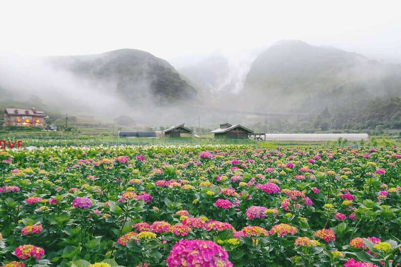 From Taipei: Private Yangmingshan Volcano and Nature Tour - Xiaoyoukeng fumaroles and the volcanic terrain that still matters