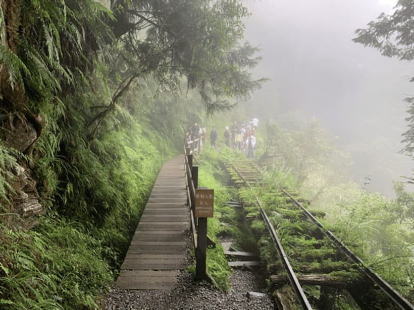 From Taipei: Taipingshan National Forest Private Day Tour - A 10-hour escape from Taipei, without the chaos