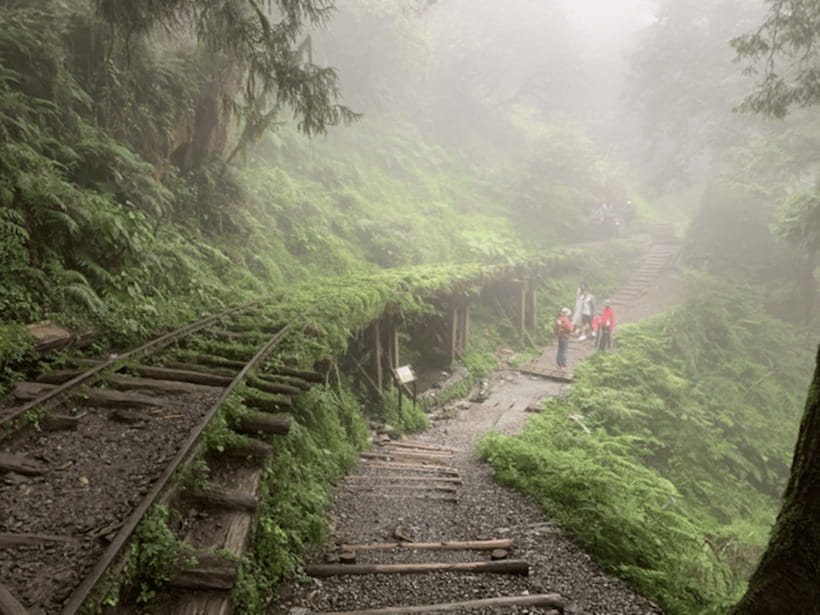 From Taipei: Taipingshan National Forest Private Day Tour - Jianqing Huaigu Trail: walking time, moss, and viewpoint potential