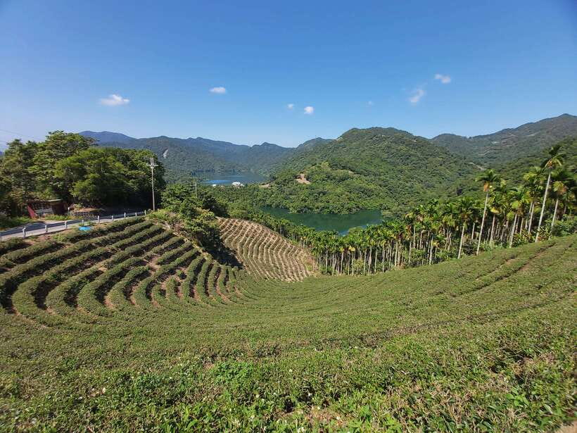 From Taipei: Thousand Island Lake and Pinglin Tea Plantation - Price and logistics: $40 for 5 hours and the value in what’s included
