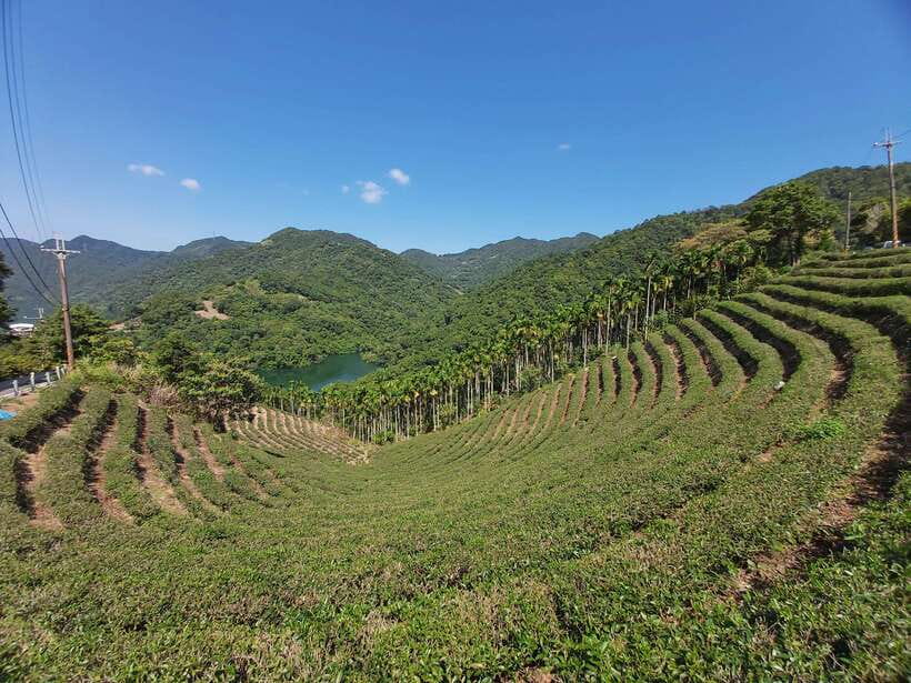 From Taipei: Thousand Island Lake and Pinglin Tea Plantation - Shiding Thousand Island Lake: why it feels calm, not crowded