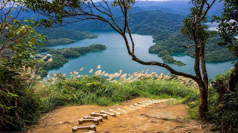 From Taipei: Thousand-Island Lake & Tea Museum Private Tour - Bagua Tea Plantation: the part you can actually walk through
