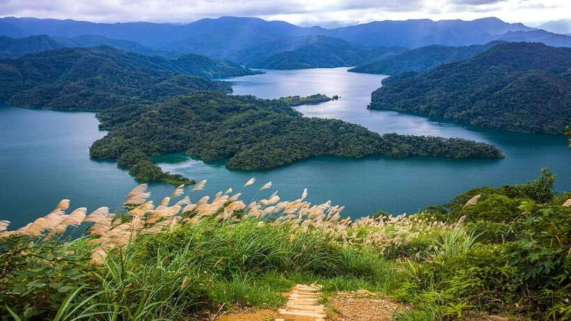 From Taipei: Thousand-Island Lake & Tea Museum Private Tour - Vehicle size, group comfort, and why it matters