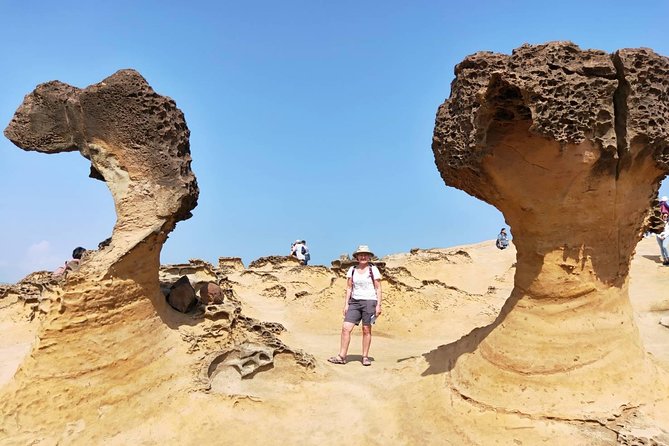 Full-Day Private Northern Taiwan Tour from Taipei with Pickup - Route choice: Yehliu plus Jiufen and Shifen, or swap in Houtong and Yangmingshan