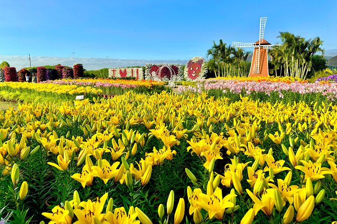 Gaomei Wetlands, Rainbow Village, Miyahara & Zhongshe from Taipei - How this Taipei to Taichung day trip is set up for real-life travelers