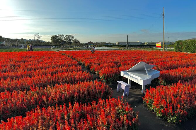 Gaomei Wetlands, Rainbow Village, Miyahara & Zhongshe from Taipei - Getting from Ximen to Taichung: timing, transfers, and total time