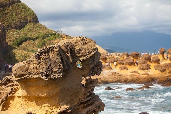 Half Day Private Tour to Yangmingshan National Park and Yehliu Geopark - Pricing and What You Actually Get for $105
