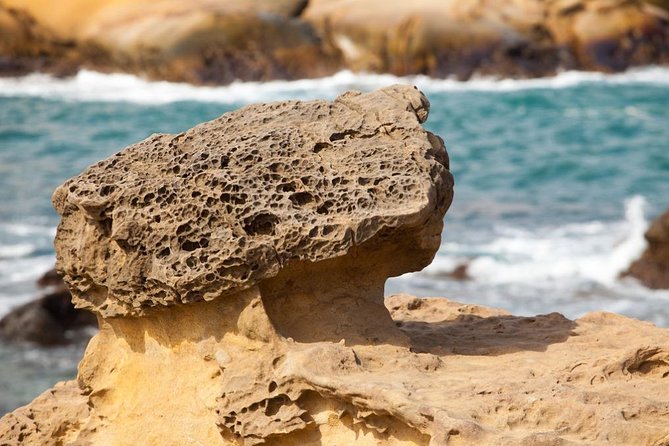 Half Day Private Tour to Yangmingshan National Park and Yehliu Geopark - Stop 2 and 3: Yangmingshan National Park, Macaques, and Qingtiangang Grassland