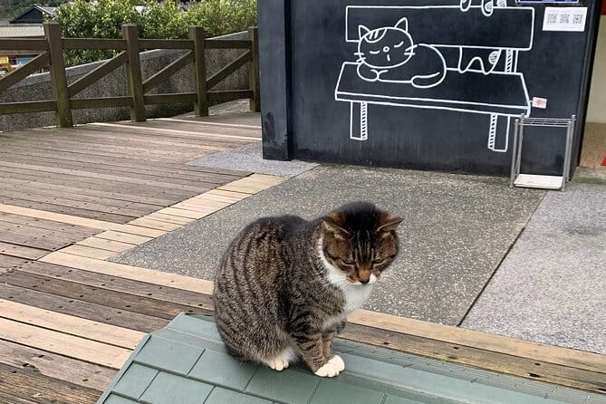 Jiufen, Shifen and Houtong Cat Village Private Tour - How the private Taipei pickup actually helps your day