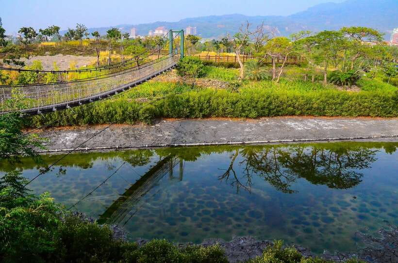 Kaohsiung: Private Walking Tour with a Local - Food and street life: how to snack without derailing the day