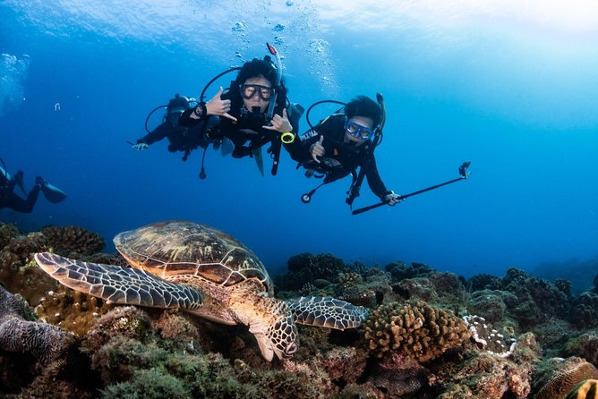 Kenting, Taiwan｜PADI Basic Diving License Course｜Taiwan Diving Open Water Course - Coaches, patience, and English support that actually matters