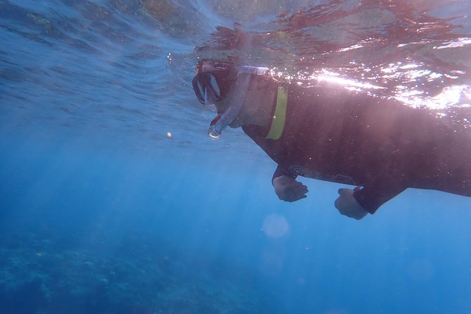 Kenting, Taiwan|Snorkeling Free underwater photography One-on-one with instructor|Taiwan Diving Snorkeling - On-land instruction that actually helps you breathe