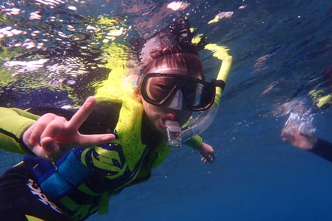 Kenting, Taiwan|Snorkeling Free underwater photography One-on-one with instructor|Taiwan Diving Snorkeling - Wildlife expectations, including the turtle surprise