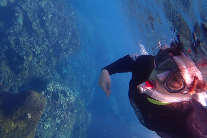 Kenting, Taiwan|Snorkeling Free underwater photography One-on-one with instructor|Taiwan Diving Snorkeling - Who it suits best, and who should skip it
