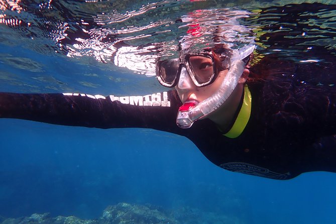 Kenting, Taiwan|Snorkeling Free underwater photography One-on-one with instructor|Taiwan Diving Snorkeling - The 90-minute schedule: pickup, practice, snorkeling, certificate