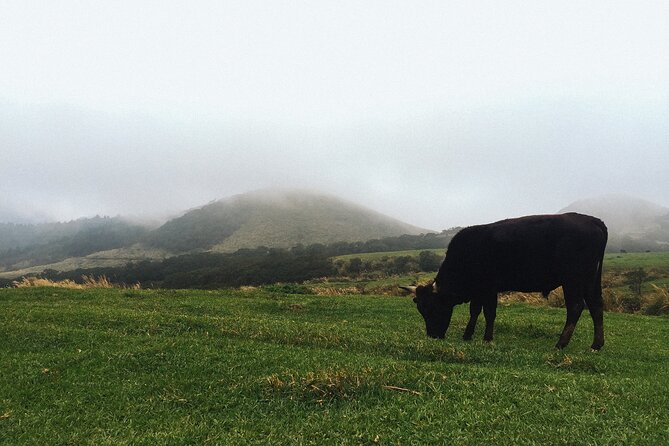 One Day Hike around Taipei's Yangmingshan National Park - Key points you’ll care about before you go