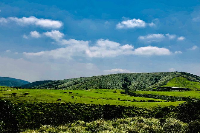 One-day private chartered car tour in Taipei: Yehliu, Jiufen, Pingxi, North Coast popular attractions with chartered car, professional Chinese/English driver - Comfort, safety, and the value of insurance