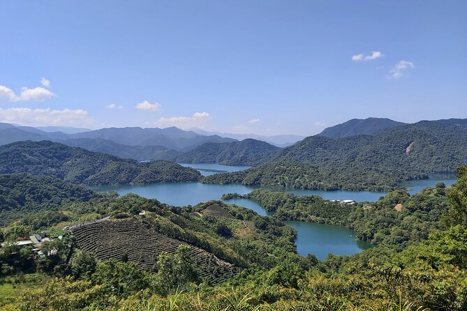 Pinglin Tea Culture & Maokong Day Tour from Taipei - Tea Country Without the Chaos, a Smart Route From Taipei