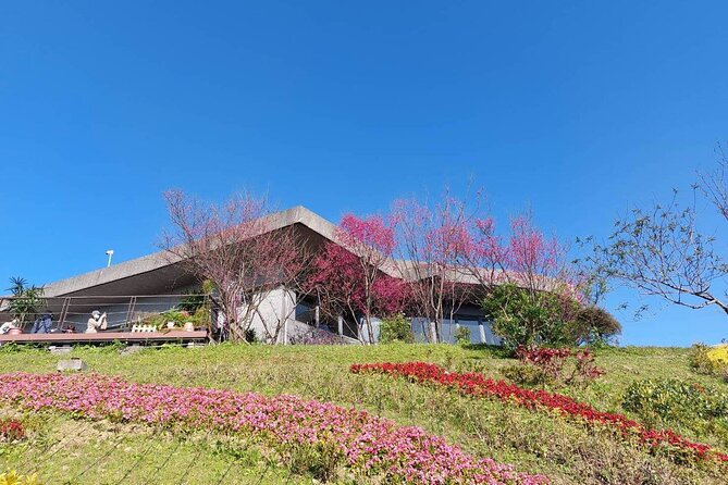 Pinglin Tea Culture & Maokong Day Tour from Taipei - Pinglin Tea Museum and Old Street: Brewing Skills and Souvenir Reality