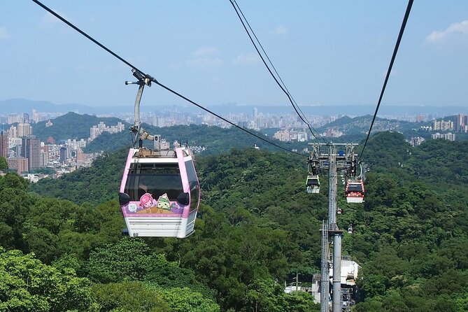 Pinglin Tea Culture & Maokong Day Tour from Taipei - Logistics That Actually Matter: Cash, Snacks, and Hearing the Guide