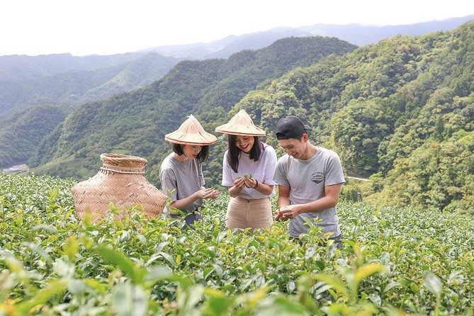 Private 1-Day Tea Experience in Taipei - Key things I’d circle before you book