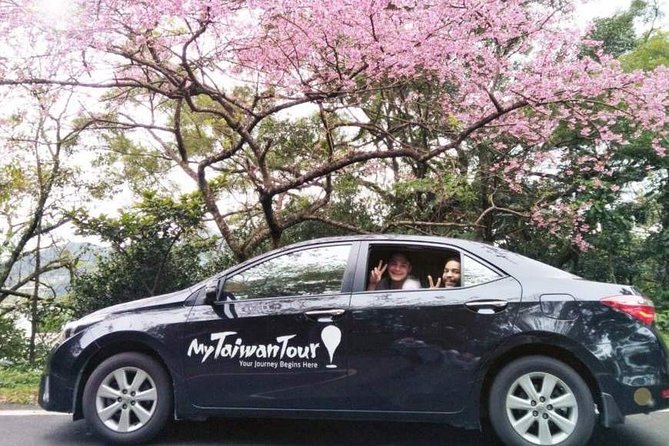 Private Custom Tour: Taipei in a Day - Who this tour fits best