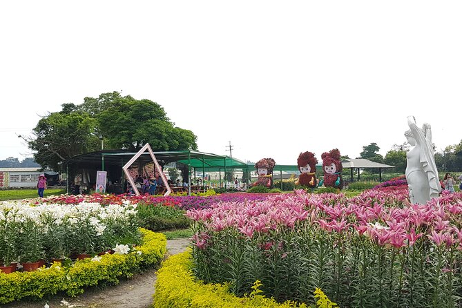 Private Day tour to Sun Moon Lake from Taipei - Who this tour suits best (and who should skip it)