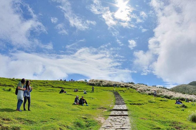 Private Yangmingshan & Beitou Tour from Taipei with Pickup - Key highlights you’ll feel right away