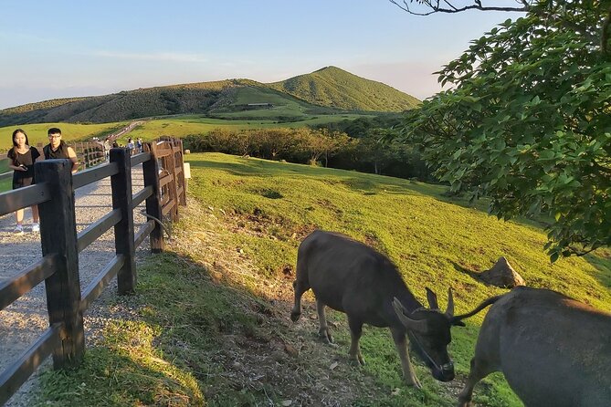 Private Yangmingshan National Park Hiking Day Tour from Taipei - What to bring (because there are no meal stops)